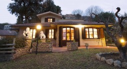 Luxury Villa 
